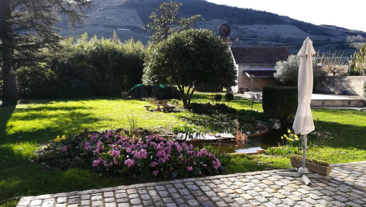 Bed and Breakfast Les Palmiers Mauves Exteriér fotografie